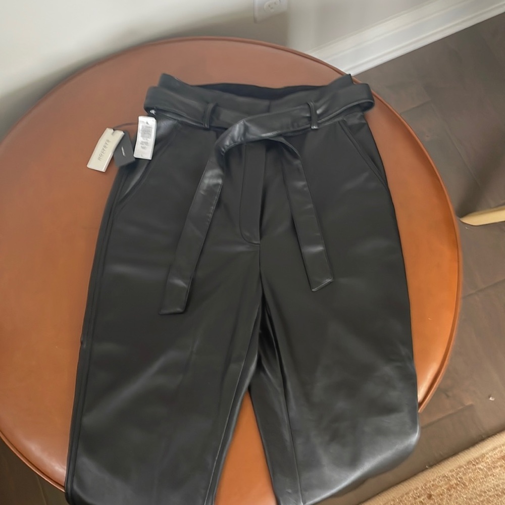 Aritzia Babaton vegan leather belted trousers